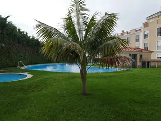 aéreo 1 (2)